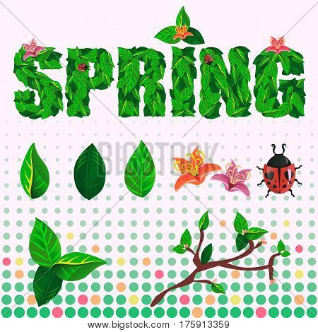 Isolated spring and summer set of text filled with leaves, flowers, just leaves, branch with burgeons and Ladybug