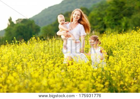 Happy family of mother and children run in the meadow of yellow flowers in summer on nature
