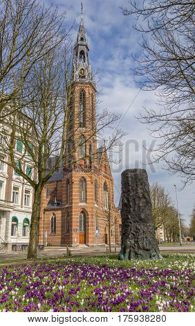 Crocusses in front of the Jozef cathedral in Groningen Holland
