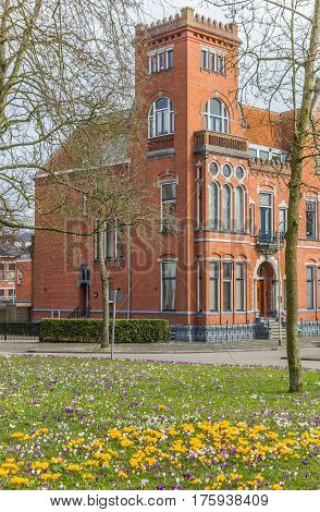Red brick building and crocusses in Groningen The Netherlands