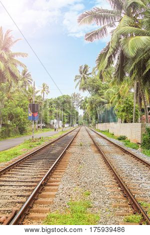 old railway in sri lanka with palm