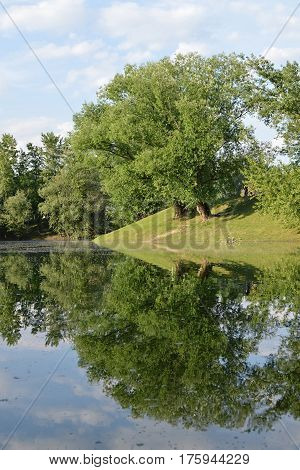 Tree reflection at Bundek lake, Zagreb, Croatia