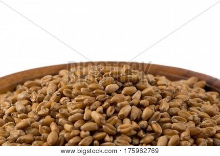 Wheat Grain In Bowl