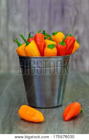 Assorted Peppers And Chilies In A Metal Bucket With Water Droplets Vertical Format
