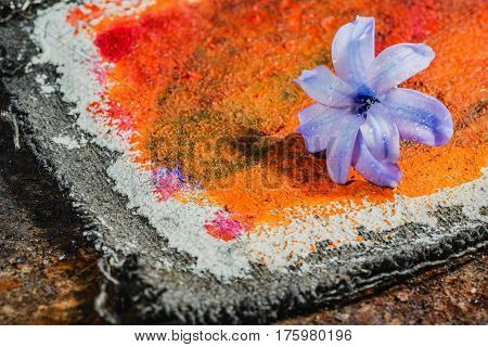 Still Life Jacinth