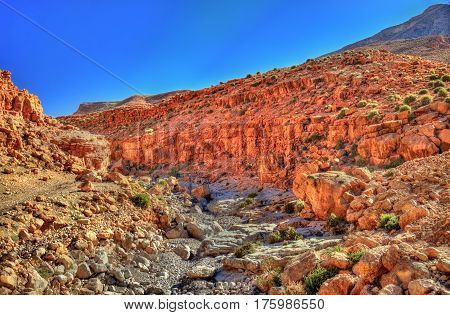 Todgha Gorge, a canyon in the High Atlas Mountains in Morocco