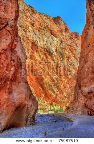 Todgha Gorge, a canyon in the High Atlas Mountains in Morocco