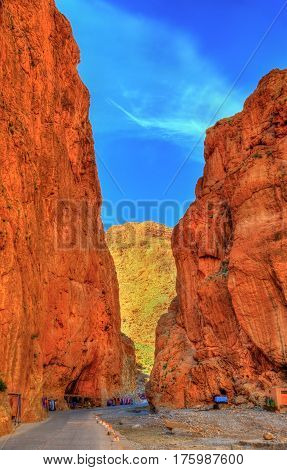 Todgha Gorge, a canyon in the High Atlas Mountains in Morocco
