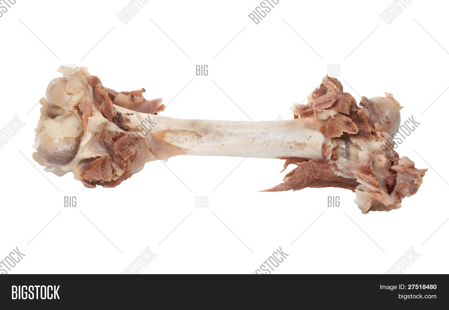 Bone Meat Image & Photo (Free Trial) Bigstock