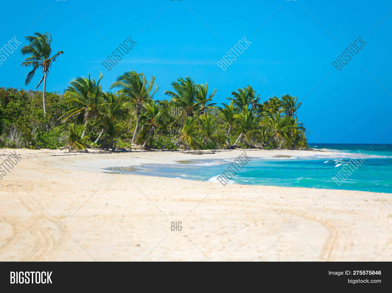 Exotic Carribean S Image Photo Free Trial Stock Exotic Carribean S Image Photo