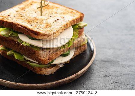 Healthy Homemade Vegetarian Veggie Sandwich With Lettuce. Cucumber, Avocado, Cheese. Copy Space.