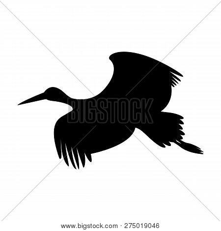 Stork Flying, Vector Illustration ,  Black Silhouette , Profile View