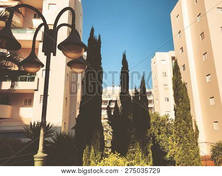 Residential Buildings And Surrounded With Green Plants In  Rishon Le Zion.