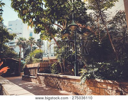 Residential Buildings And Surrounded With Green Plants In  Rishon Le Zion.