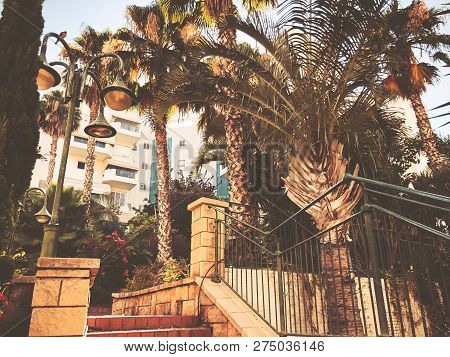 Residential Buildings And Surrounded With Green Plants In  Rishon Le Zion.