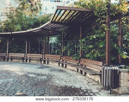 Residential Buildings And In The Courtyard Benches Surrounded With Green Plants In  Rishon Le Zion.