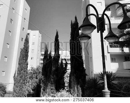 Residential Buildings And Surrounded With Green Plants In  Rishon Le Zion.