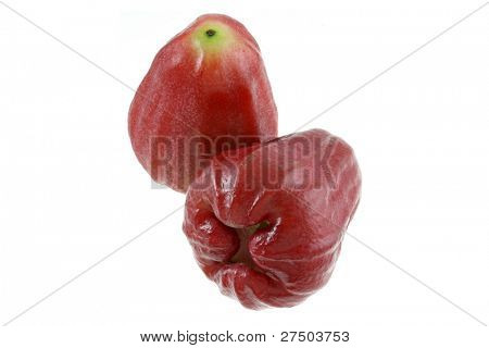 Foto closeup de maçã doce de Rose maduro, água maçã (Chomphu) isolado no branco