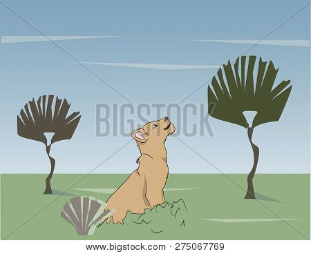 Little Lion Cub Sitting On Nature Looking Up, Vector