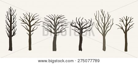 Barren Tree Shape Set - Vector Tree Silhouette Illustration Collection.