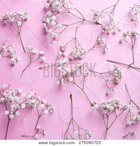 Pattern From Fresh White Gypsofila  Flowers On  Pink Textured Background. Top View. Flat Lay. Square