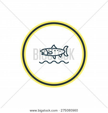 Vector Illustration Of Trout Fish Icon Line. Beautiful Naval Element Also Can Be Used As Codfish Ico