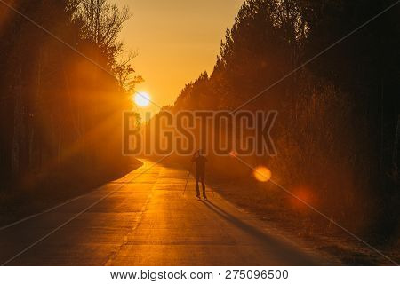 Training An Athlete On The Roller Skaters. Biathlon Ride On The Roller Skis With Ski Poles, In The H