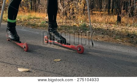 Training An Athlete On The Roller Skaters. Biathlon Ride On The Roller Skis With Ski Poles, In The H