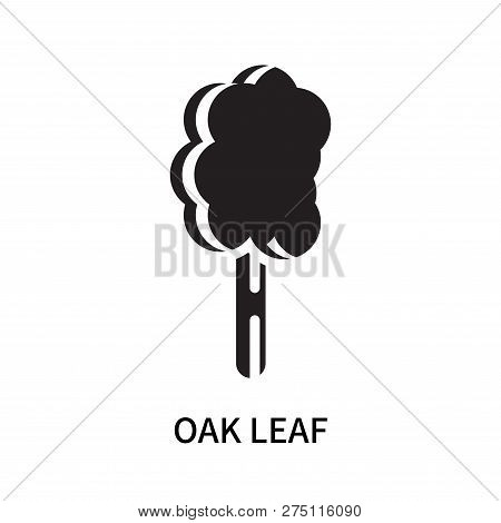 Oak Leaf Icon Isolated On White Background. Oak Leaf Icon Simple Sign. Oak Leaf Icon Trendy And Mode