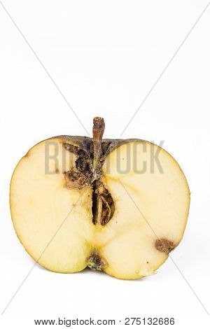 Close Up Boring Trace Of A Codling Moth Cydia Pomonella, In A Half Middle Wormy Apple. On White Back