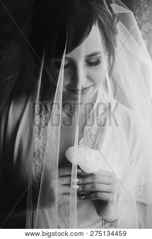 Beautiful Stylish Brunette Bride Posing In Silk Robe Under Veil In The Morning. Sensual Portrait Of