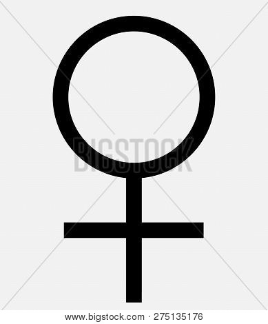 Gender Symbol. Venus Symbol. The Symbol For A Female Organism Or Woman