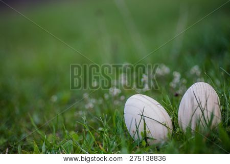 Two White Wooden Easter Eggs With A Branch Of Apricot In Green Grass. Easter Background. Search For 