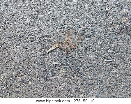 Rotting Black Banana Peel On Black Asphalt