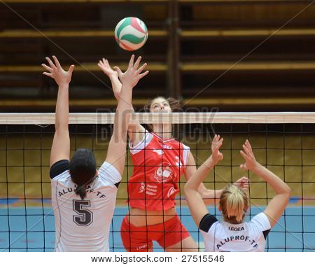 KAPOSVAR, 헝가리-11 월 25 일: Zsofia Harmath (레드 3) 헝가리어 챔피언 voll에서 행동