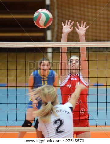 헝가리 챔피언 vo에 행동에 KAPOSVAR, 헝가리-11 월 25 일: Kamilla Gyorbiro (레드 6)