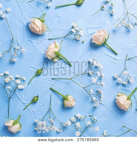 Pattern From Fresh White Gypsofila And Rose  Flowers On Blue Textured Background. Top View. Flat Lay