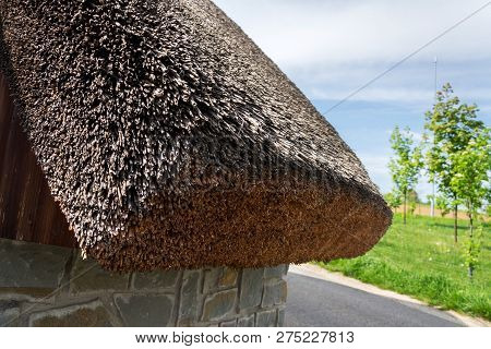 Traditional Thatched Roof From Reed, Sunny Summer Day