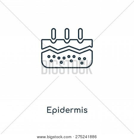 Epidermis Icon In Trendy Design Style. Epidermis Icon Isolated On White Background. Epidermis Vector