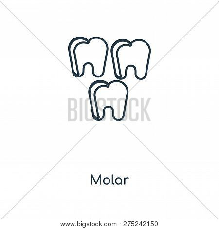Molar Icon In Trendy Design Style. Molar Icon Isolated On White Background. Molar Vector Icon Simple