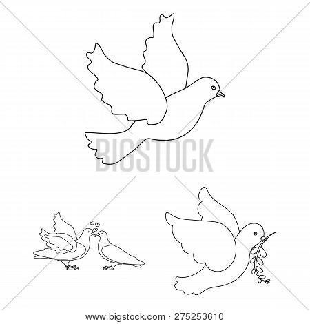 Vector Design Of Flying And Dove Icon. Collection Of Flying And Carrier Stock Symbol For Web.