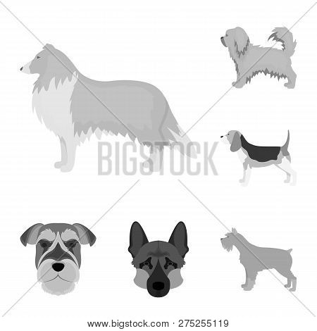Vector Illustration Of Cute And Puppy Symbol. Set Of Cute And Animal Stock Vector Illustration.