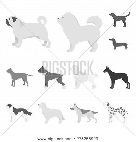 Vector Design Of Cute And Puppy Sign. Collection Of Cute And Animal Stock Vector Illustration.