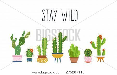 Cactus Poster. Succulents Cacti Exotic Cactuses Plants Sketch Trendy Typography Slogan, Flower Woman