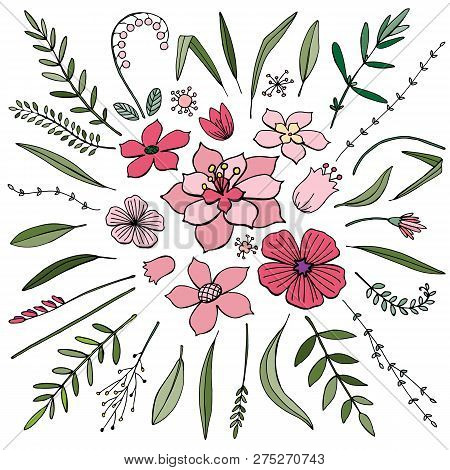 Set Of Floral Isolated Objects On White Background