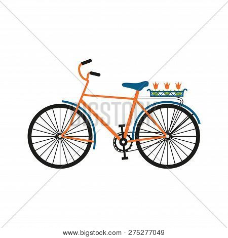 Bicycle With Tulip Bouquet In Basket. Color Bike Isolated On White Background. Flat Vector Illustrat