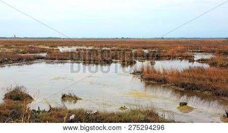 Wild Environment With Marshes In The Venetian Lagoon Near Venice. The Italian Locality Is Called Mes
