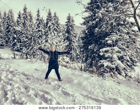 Snowfall. Trees In The Snow. Sky In The Winter Season. Beautiful View. Heppy Child.