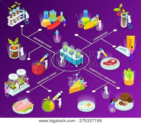 Artificial Food Isometric Flowchart With Scientists During Experiments With Eating Ingredients On Pu
