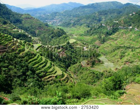Banaue Rice Terraces